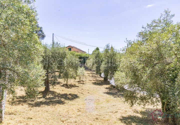 Tomt i Ortovero, Savona, Ortovero - € 57 000 | Ref: ORT.V.7 .T - foto 1