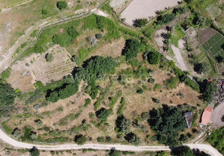 Terra a Celorico da Beira, Guarda, Celorico da Beira - € 14.000 | Ref: 405240159 - foto 1