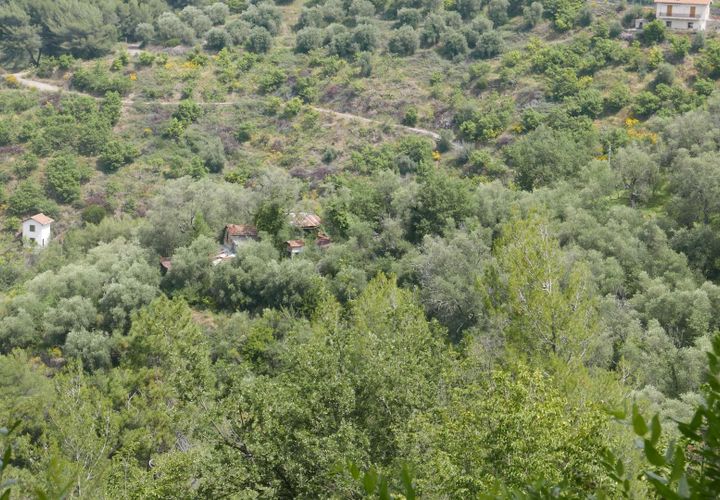Tomt i Perinaldo, Imperia, Perinaldo - € 49 000 | Ref: 85066122 - foto 1