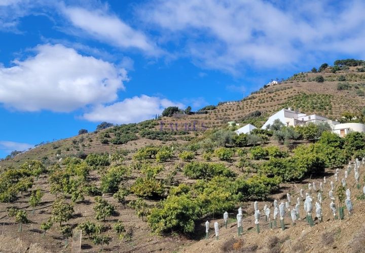 Cortijo i Competa, Malaga, Competa - € 262.500 | Ref: C3842 - foto 1