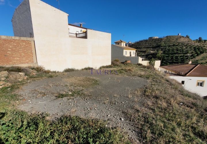 Terra a Benamocarra, Malaga, Benamocarra - € 50.000 | Ref: MS365 - foto 1
