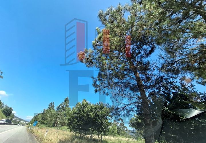 Helårsgrund i Ponte de Lima, Viana do Castelo, Ponte de Lima - € 34.500 | Ref: FM1054 - foto 1