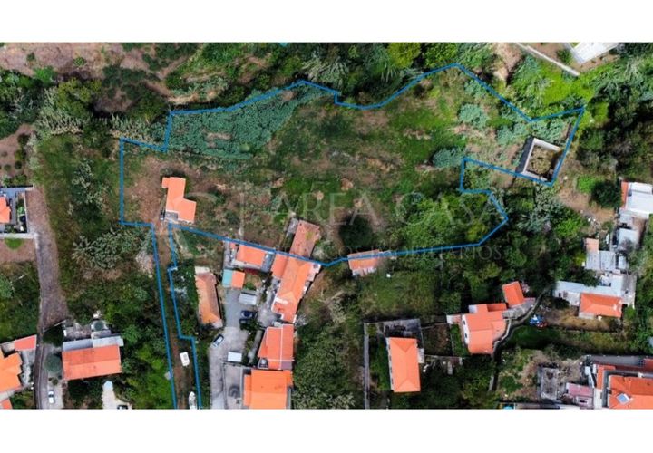 Terra a Sao Roque, Madeira, Sao Roque - € 1.150.000 | Ref: TER_104 - foto 1