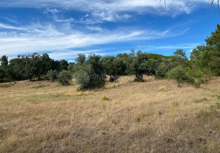 Terra a Sesimbra, Setubal, Sesimbra - € 315.000 | Ref: SC-934 - foto 1