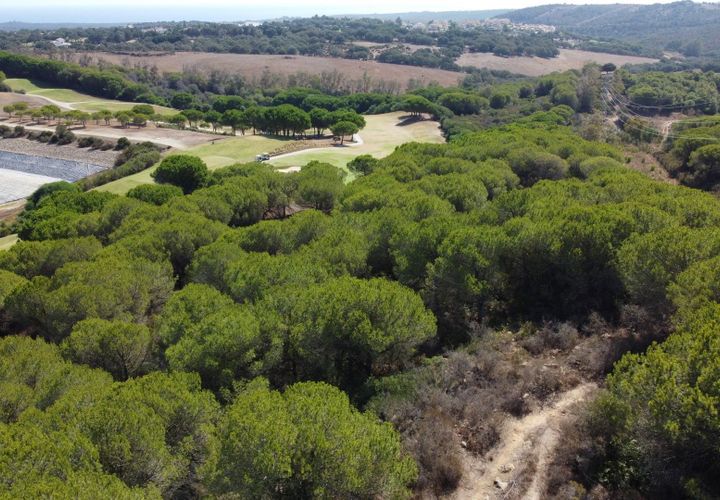 Helårsgrund i Sotogrande, Cadiz, Sotogrande - € 3.000.000 | Ref: SPCRM1572 - foto 1