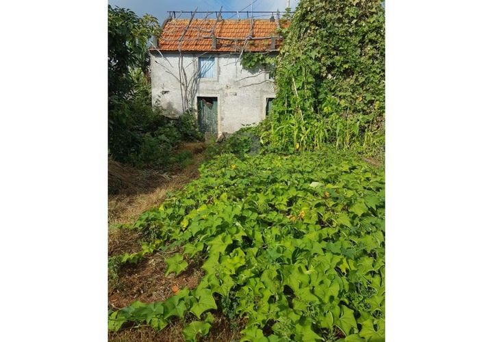 Landejendom i Calheta, Madeira, Calheta - € 295.000 | Ref: CAS_159 - foto 1