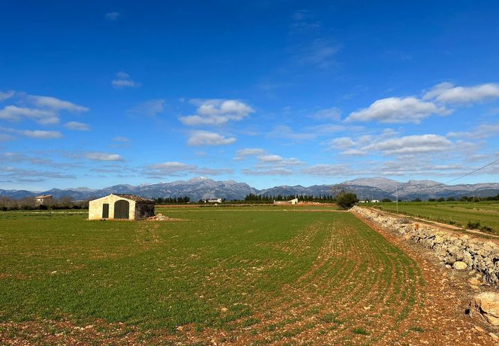 Tomt i Llubi, Mallorca, Llubi - € 215 000 | Ref: 79889 - foto 1