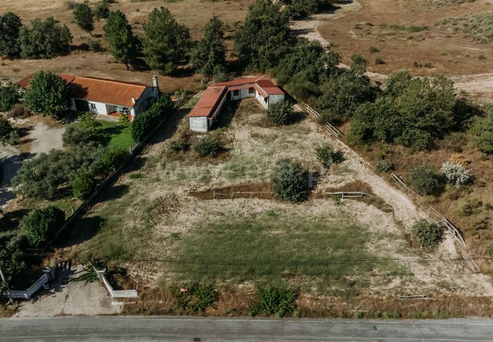 Terra a Belmonte, Castelo Branco, Belmonte - € 37.500 | Ref: 111240128 - foto 1