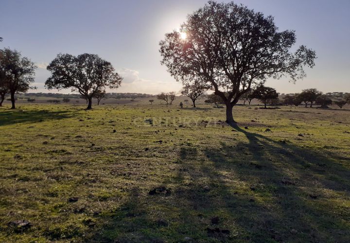 Terra a Alandroal, Evora, Alandroal - € 300.000 | Ref: C0185-02855 - foto 1
