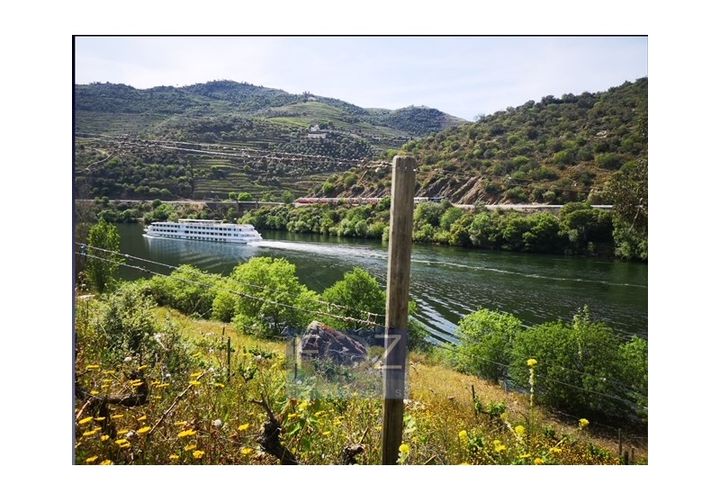 Farm i Ervedosa do Douro, Viseu, Ervedosa do Douro - € 1.500.000 | Ref: 9161a - foto 1
