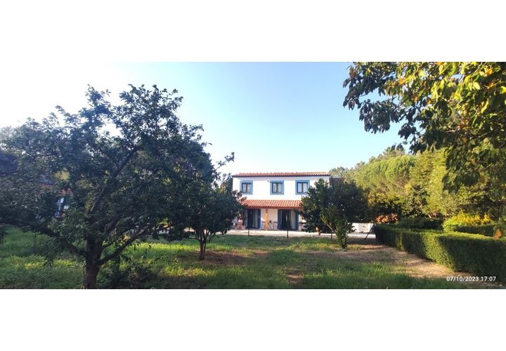 Farm i Alcobaca, Leiria, Alcobaca - € 900.000 | Ref: MAS_254 - foto 1