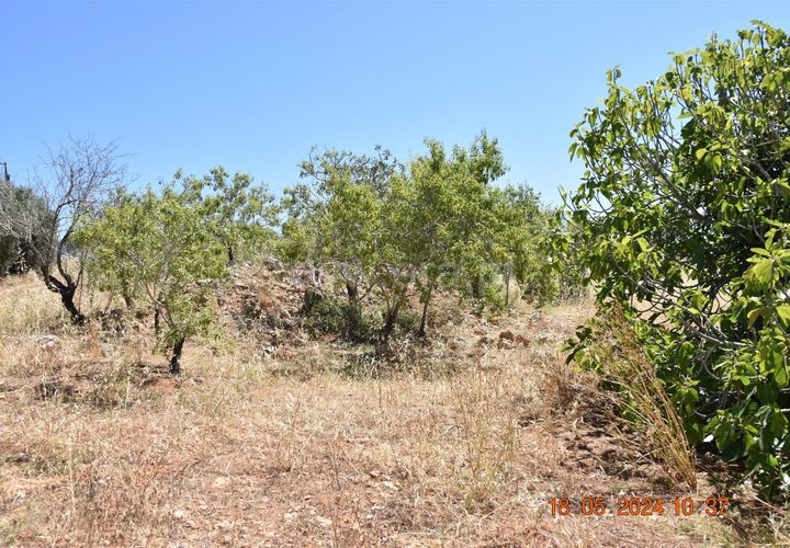 Helårsgrund i Lagoa, Faro, Lagoa - € 150.000 | Ref: 359240144 - foto 1