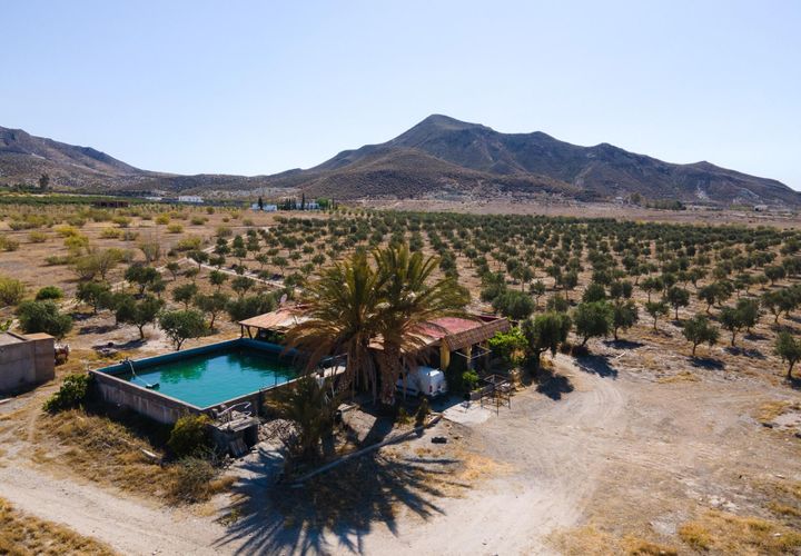 Terra a Tabernas, Almeria, Tabernas - € 549.000 | Ref: EXP07893/8930 - foto 1