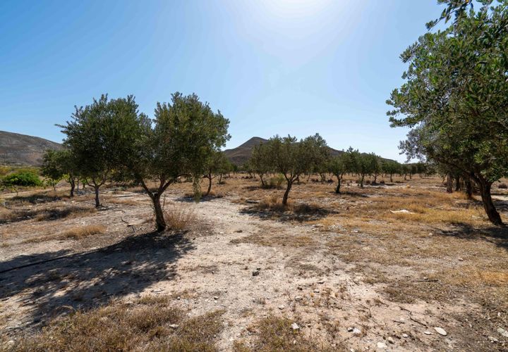 Terra a Tabernas, Almeria, Tabernas - € 399.000 | Ref: EXP07895/8930 - foto 1