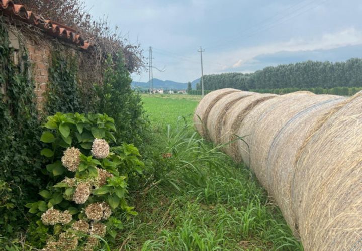 Landejendom i Monselice, Padua, Monselice - € 105.000 | Ref: 24-0723 - foto 1