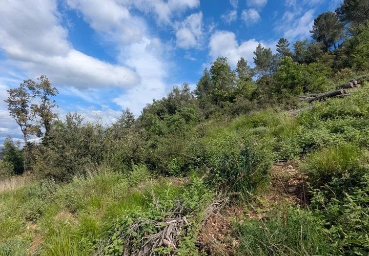 Terra a Carcès, Var, Carcès - € 15.000 | Ref: 3515 - foto 1