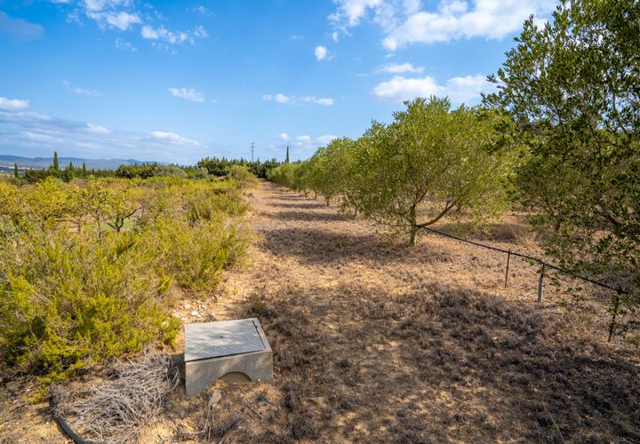 Finca i Ginestar, Tarragona, Ginestar - € 16.000 | Ref: 99 - foto 1