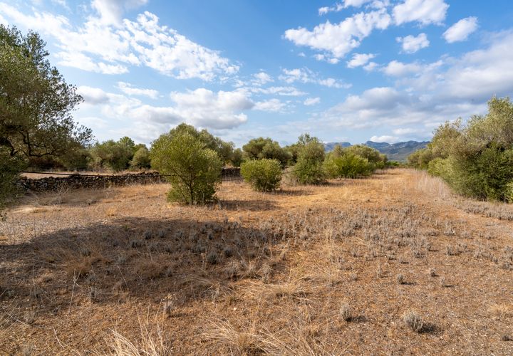 Finca i Ginestar, Tarragona, Ginestar - € 9.000 | Ref: 100 - foto 1
