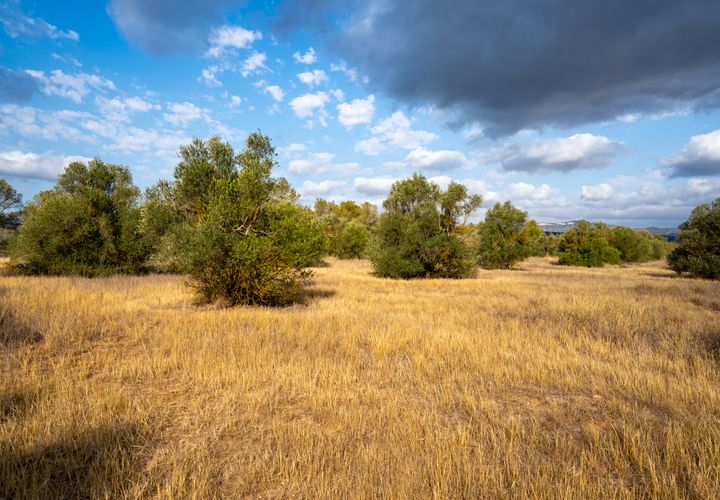 Finca i Ginestar, Tarragona, Ginestar - € 35.000 | Ref: 101 - foto 1