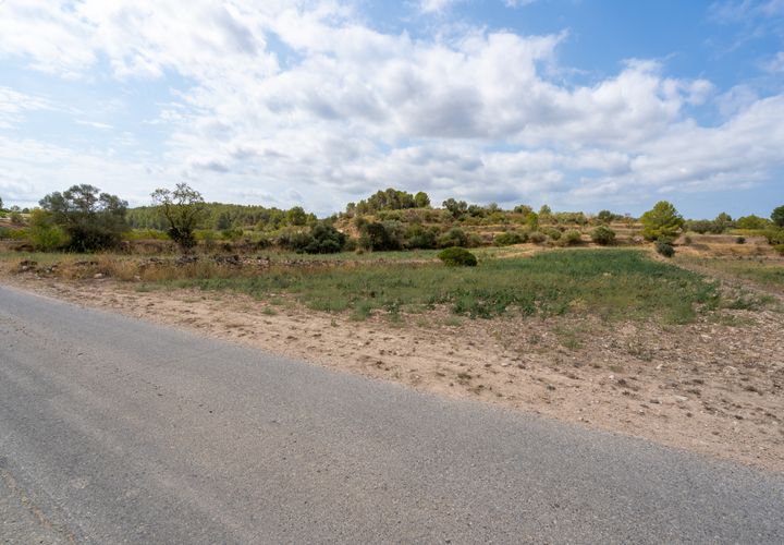 Finca i Ginestar, Tarragona, Ginestar - € 31.000 | Ref: 105 - foto 1