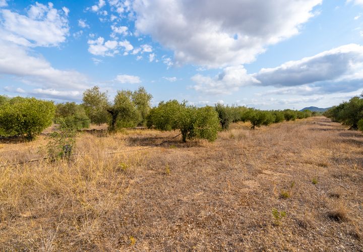 Finca i Ginestar, Tarragona, Ginestar - € 18.000 | Ref: 106 - foto 1