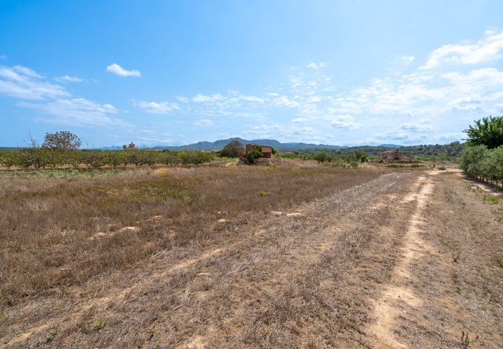 Finca i Ginestar, Tarragona, Ginestar - € 16.500 | Ref: 109 - foto 1