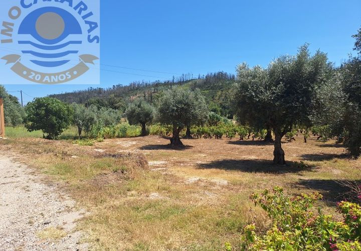 Helårsgrund i Ourem, Santarem, Ourem - € 25.000 | Ref: TER_728 - foto 1