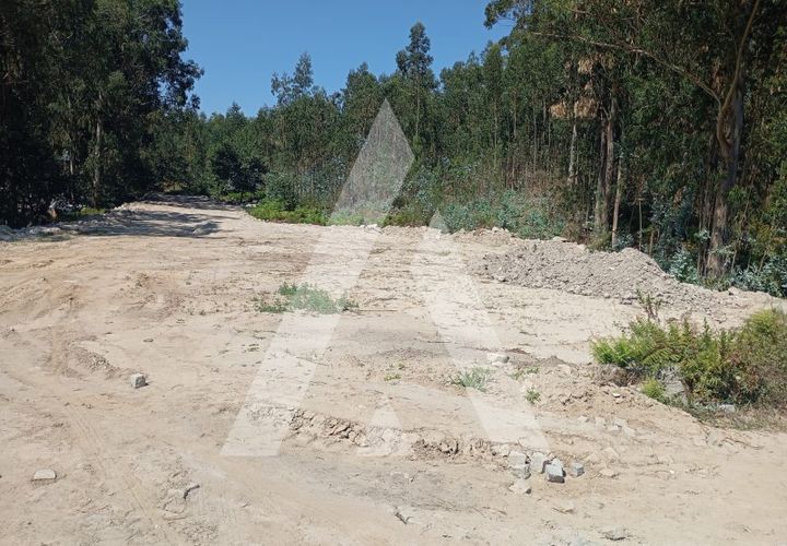 Terra a Cabeca Santa, Porto, Cabeca Santa - € 287.000 | Ref: 1360036/24PN - foto 1