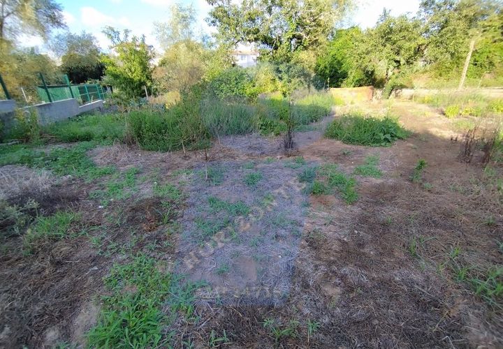 Helårsgrund i Anadia, Aveiro, Anadia - € 30.000 | Ref: TER_1092 - foto 1