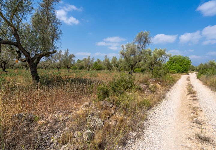 Finca i Ulldecona, Tarragona, Ulldecona - € 5 000 | Ref: 118 - foto 1