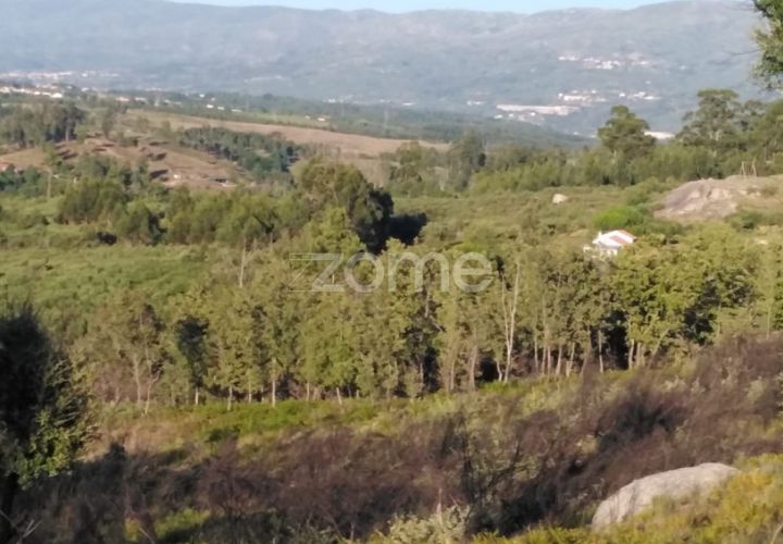 Helårsgrund i Sameice e Santa Eulalia, Guarda, Sameice e Santa Eulalia - € 30.000 | Ref: ZMPT559054 - foto 1