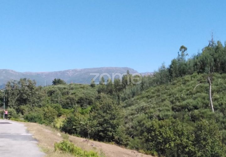 Terreno en Sameice e Santa Eulalia, Guarda, Sameice e Santa Eulalia - € 14.000 | Ref: ZMPT559060 - photo 1