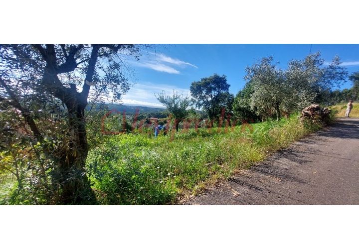 Helårsgrund i Agueda, Aveiro, Agueda - € 9.500 | Ref: AG 4003 - foto 1