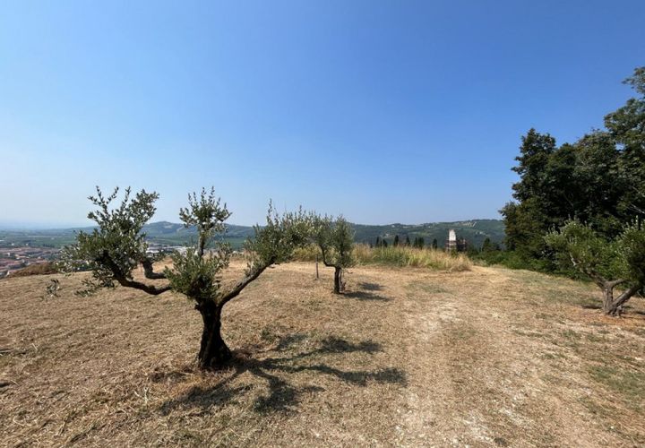 Terra a Tregnago, Verona, Tregnago - € 200.000 | Ref: 2141 - foto 1