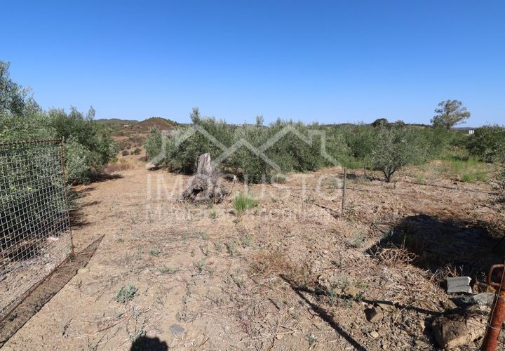 Terra a Odeleite, Faro, Odeleite - € 20.000 | Ref: 239 - foto 1