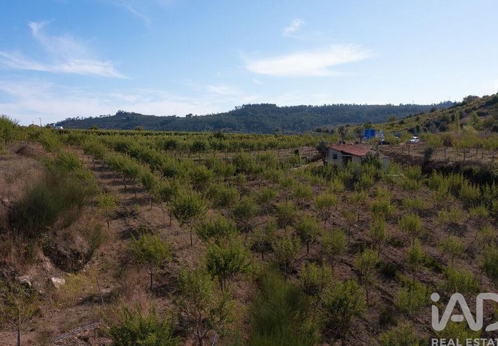Helårsgrund i Miranda do Corvo, Coimbra, Miranda do Corvo - € 120.000 | Ref: 125855 - foto 1