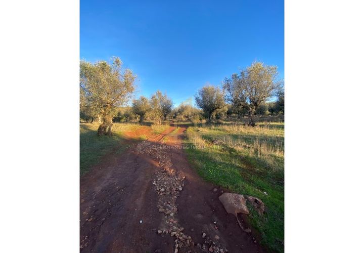 Helårsgrund i Sousel, Portalegre, Sousel - € 110.000 | Ref: TER_001_08SOU - foto 1