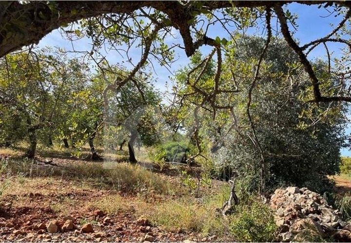 Helårsgrund i Paderne, Faro, Paderne - € 45.000 | Ref: 1210-3188 - foto 1