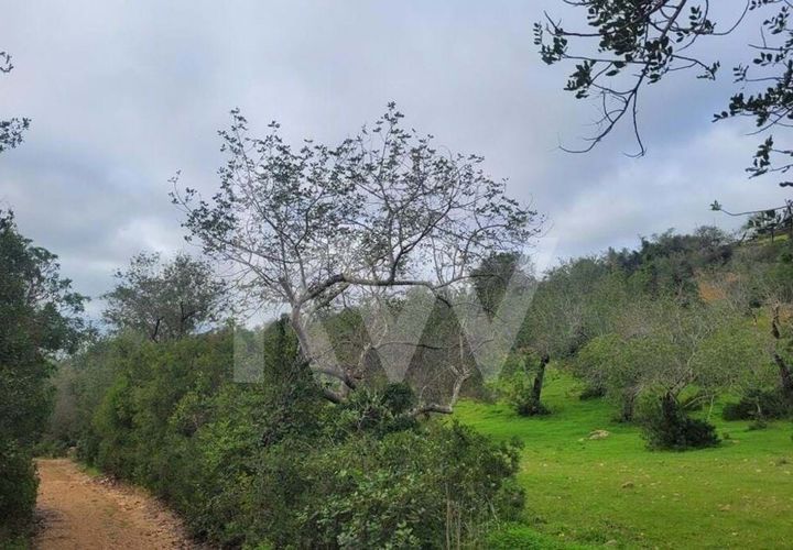 Helårsgrund i Paderne, Faro, Paderne - € 36.500 | Ref: 1210-2520 - foto 1