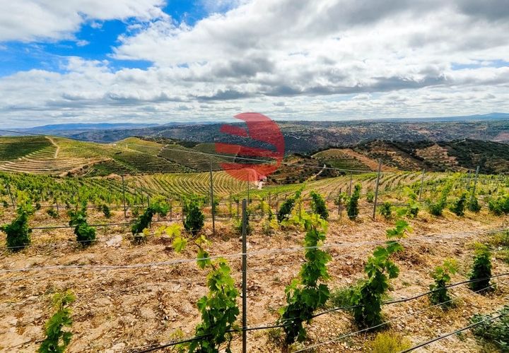 Terra a Longroiva, Guarda, Longroiva - € 550.000 | Ref: 449/MDA - foto 1