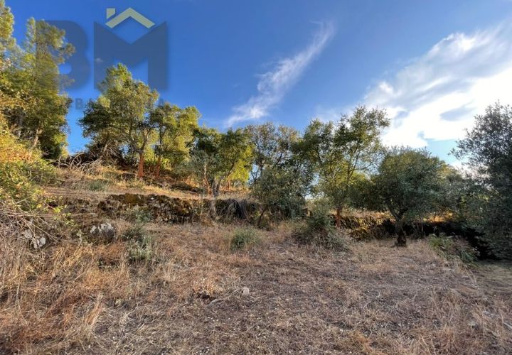 Helårsgrund i Castelo Branco, Castelo Branco, Castelo Branco - € 13.000 | Ref: 4714 - foto 1