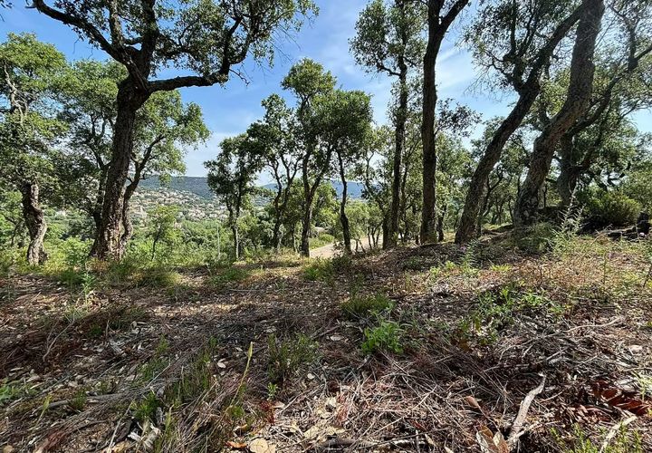 Terra a Calonge, Gerona, Calonge - € 200.000 | Ref: CBF4923 - foto 1