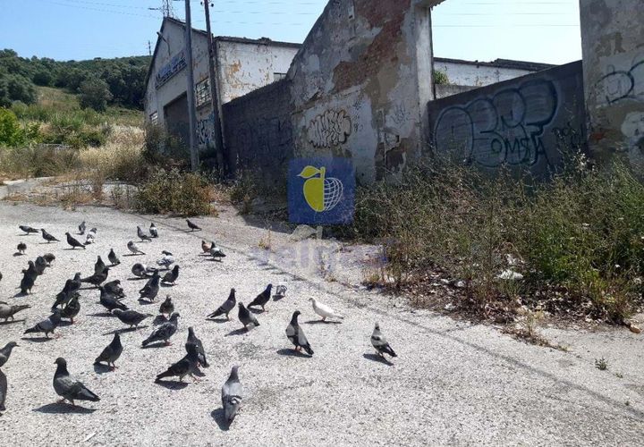 Erhvervsejendom i Odivelas, Lisbon, Odivelas - € 750.000 | Ref: OD1-207640 - foto 1