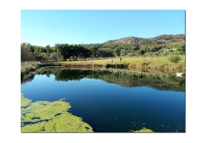 Farm i Castelo Branco, Castelo Branco, Castelo Branco - € 314.000 | Ref: OSE24049.PBRM - foto 1