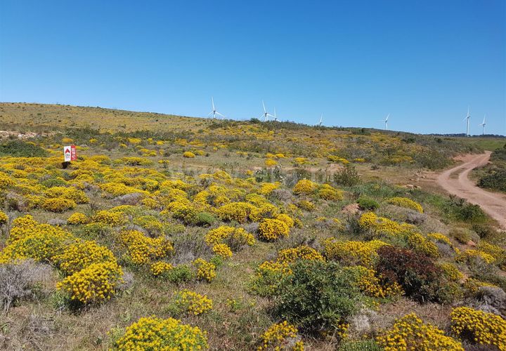 Helårsgrund i Sagres, Faro, Sagres - € 40.000 | Ref: 096190055 - foto 1