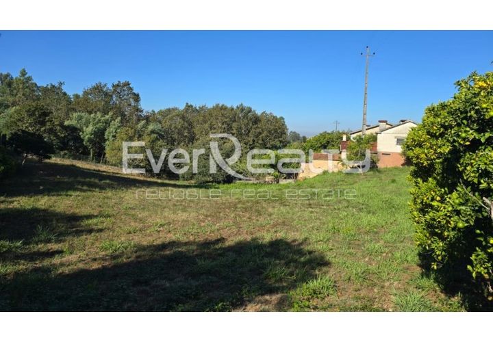 Helårsgrund i Agueda, Aveiro, Agueda - € 85.000 | Ref: 20240904 - foto 1