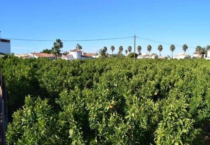 Tomt i Els Poblets, Alicante, Els Poblets - € 350 000 | Ref: HO592563 - foto 1