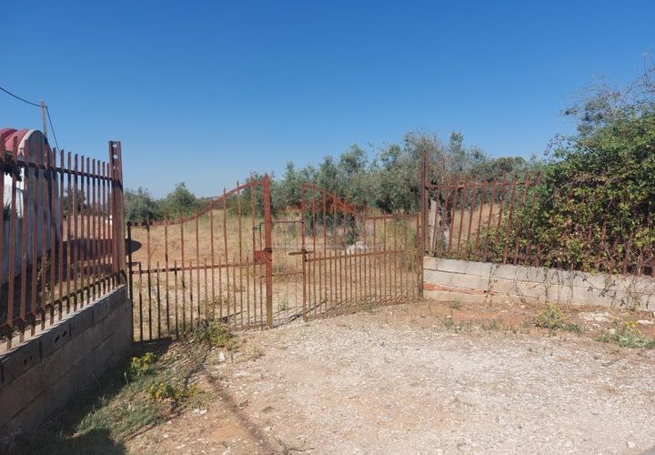 Terra a Bencatel, Evora, Bencatel - € 155.000 | Ref: SÒL_380 - foto 1