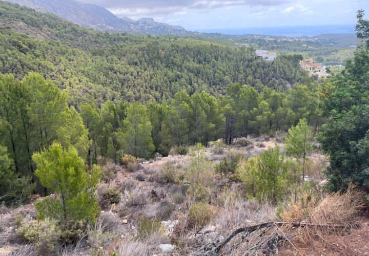 Grond in Callosa D'en Sarria, Alicante, Callosa D'en Sarria - € 850.000 | Ref: 2467V - foto 1