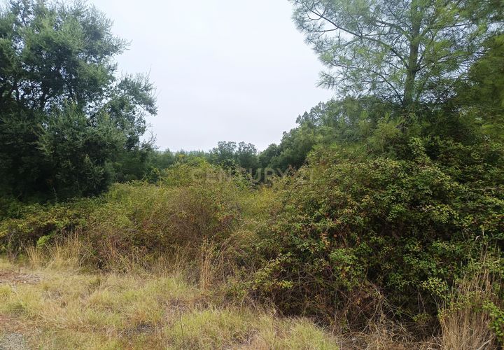 Helårsgrund i Tomar, Santarem, Tomar - € 65.000 | Ref: C0506-00211 - foto 1
